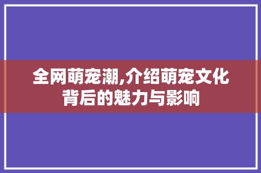 全网萌宠潮,介绍萌宠文化背后的魅力与影响