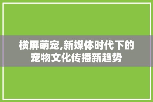 横屏萌宠,新媒体时代下的宠物文化传播新趋势