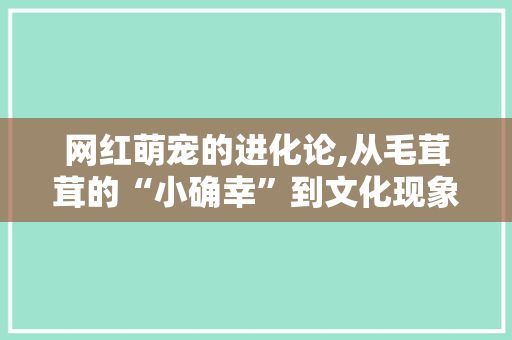 网红萌宠的进化论,从毛茸茸的“小确幸”到文化现象的崛起