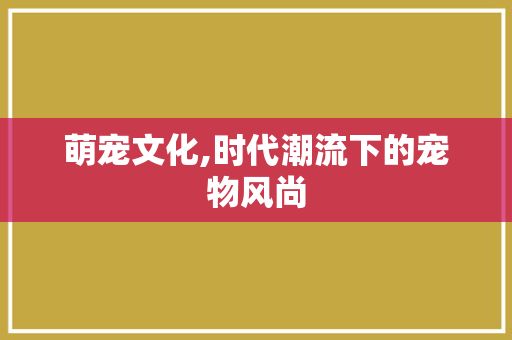 萌宠文化,时代潮流下的宠物风尚