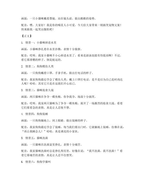 短视频宠物文案搞笑