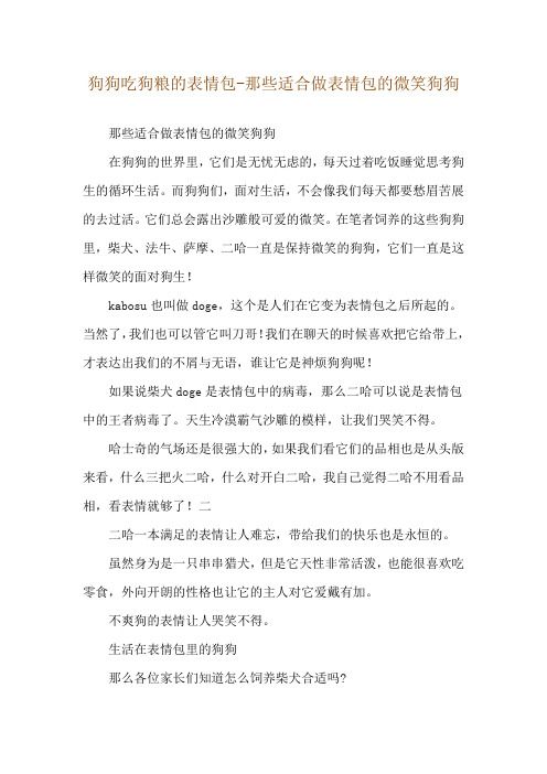 狗狗吃狗粮的表情包-那些适合做表情包的微笑狗狗