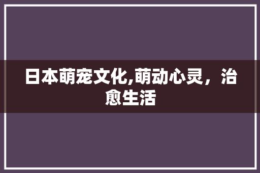 日本萌宠文化,萌动心灵，治愈生活