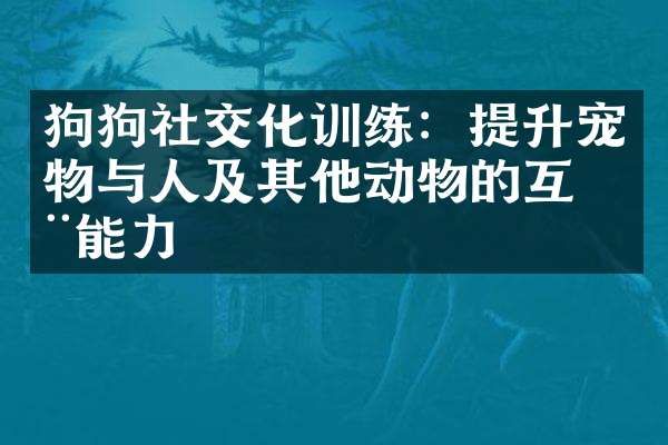 狗狗社交化训练：提升宠物与人及其他动物的互动能力