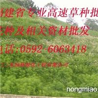 福州厦门龙岩三明宁德泉州漳州花卉种子种苗草种子