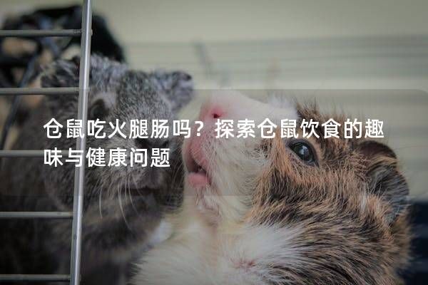 仓鼠吃火腿肠吗？探索仓鼠饮食的趣味与健康问题