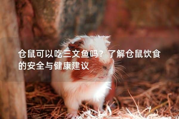 仓鼠可以吃三文鱼吗？了解仓鼠饮食的安全与健康建议