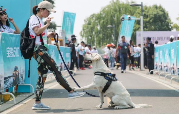 当颜兽遇上萌兽 宝骏510萌动活力苏州开赛