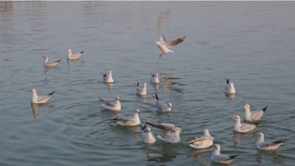 cafd95980f6f97ce10ba6ee402b09f92.png