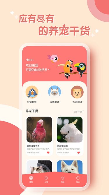 鹦鹉翻译器app下载