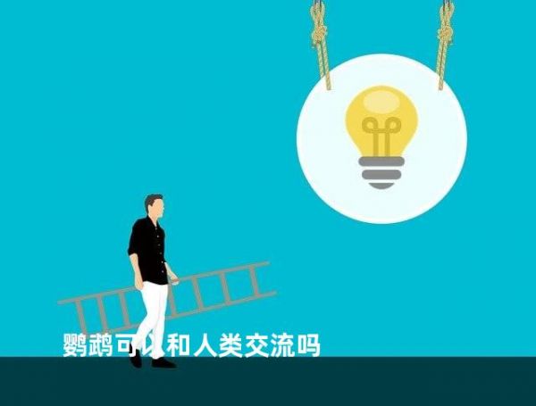 鹦鹉可以和人类交流吗