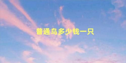 普通鸟多少钱一只