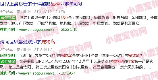 宠物鸟品种大全排行