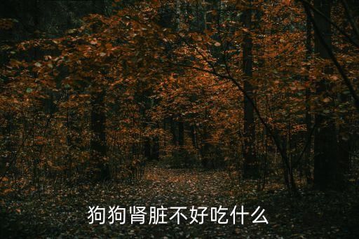 狗狗肾脏不好吃什么