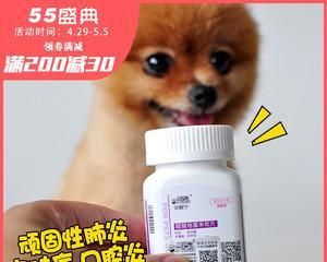如何避免狗狗药物过敏（保护宠物健康的实用建议）
