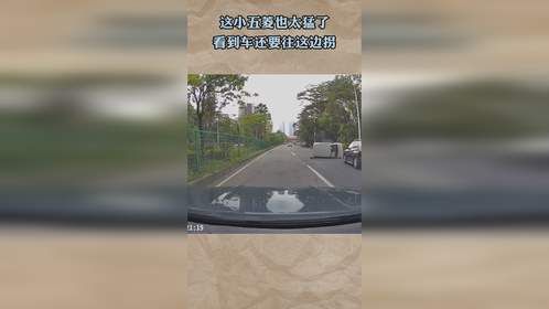 这小五菱也太猛了，看到车还要往这边拐