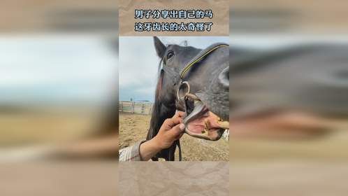 男子分享出自己的马，这牙齿长的太奇怪了