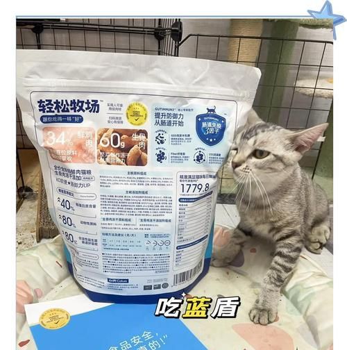 猫粮中的蛋白质食物有哪些？它们对猫咪有何益处？