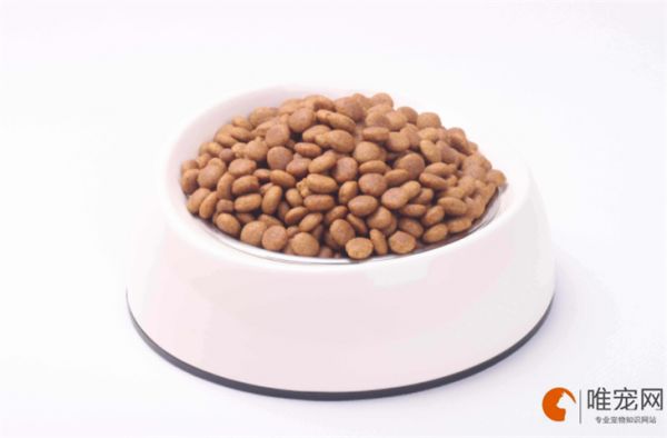猫粮蛋白质含量多少合适 便宜又好的国产猫粮有哪些