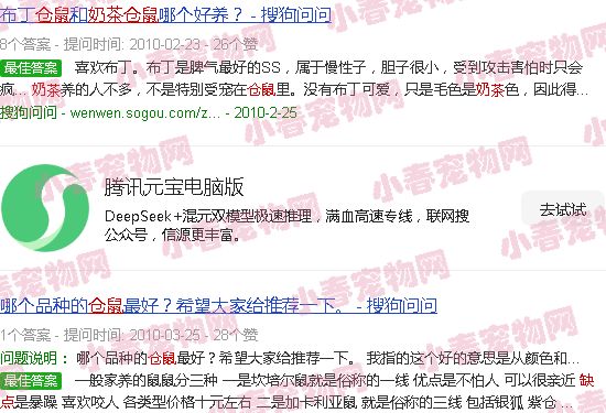 奶茶仓鼠的缺点
