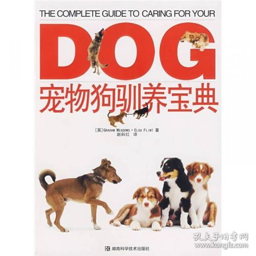 宠物驯养指南