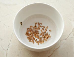 猫草（无土栽培）的做法 步骤2