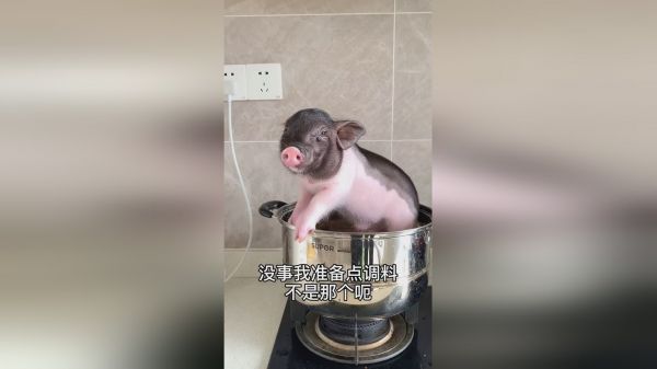 老四好像没有意识到问题的严重性