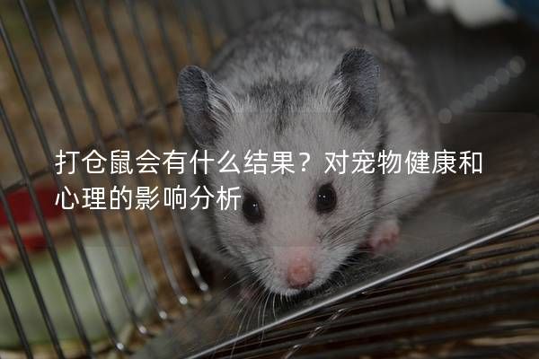 打仓鼠会有什么结果？对宠物健康和心理的影响分析