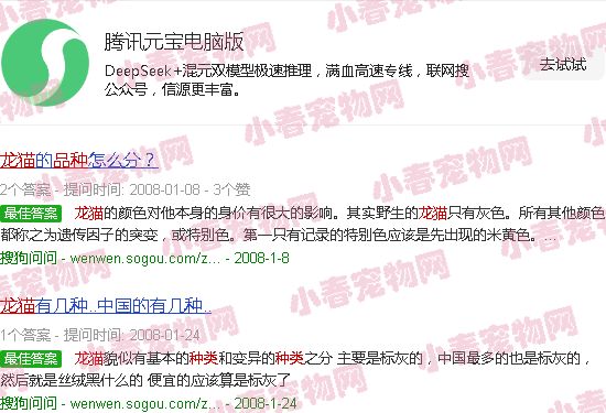 龙猫种类大全