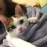 小暖