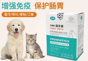 宠物消化不适,快速应对指南