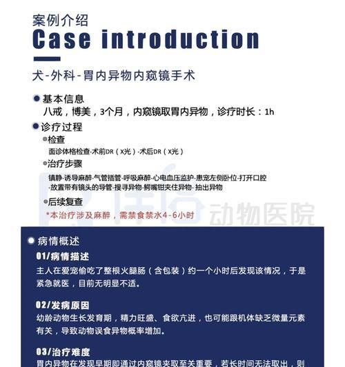帮助狗狗消化异物的有效方法（保护宠物健康，远离消化问题）