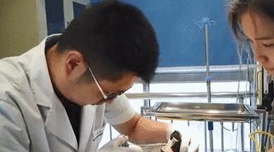 帮助狗狗消化异物的有效方法（保护宠物健康，远离消化问题）