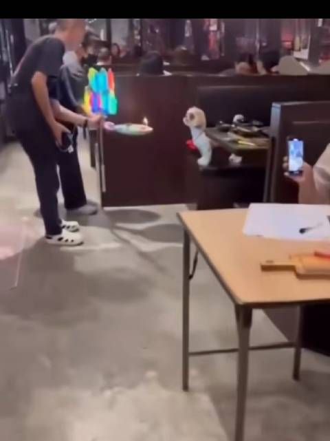狗狗饭店庆生获服务员祝福