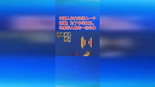 中国人欠大马华人一个尊重；为了中华文化，马来华人敢与一切斗争
