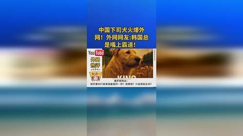 中国下司犬火爆外网！外网网友-韩国总是嘴上霸道！