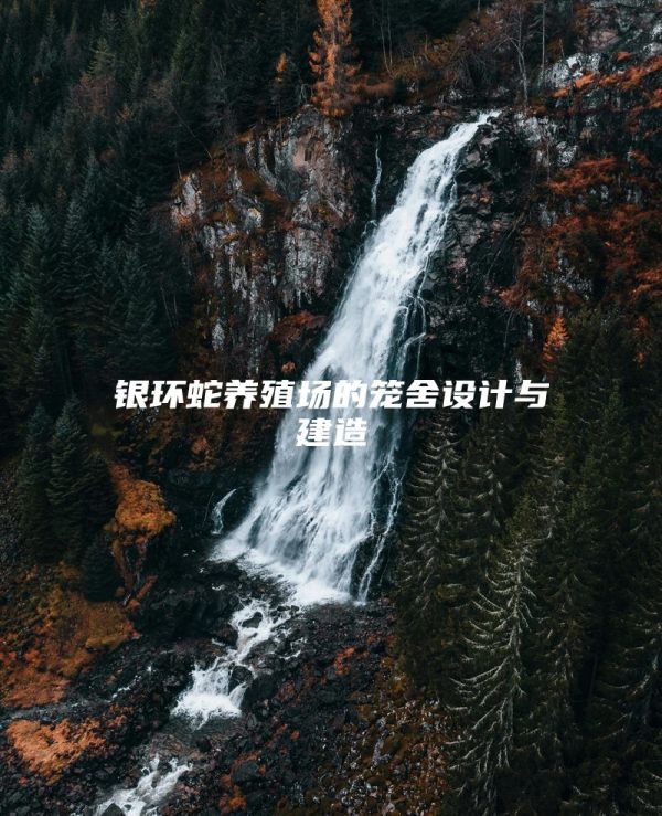 银环蛇养殖场的笼舍设计与建造