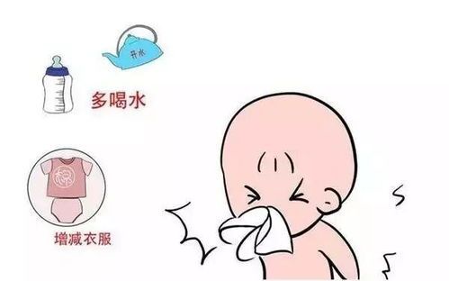 增强宠物抵抗力,预防疾病困扰。
