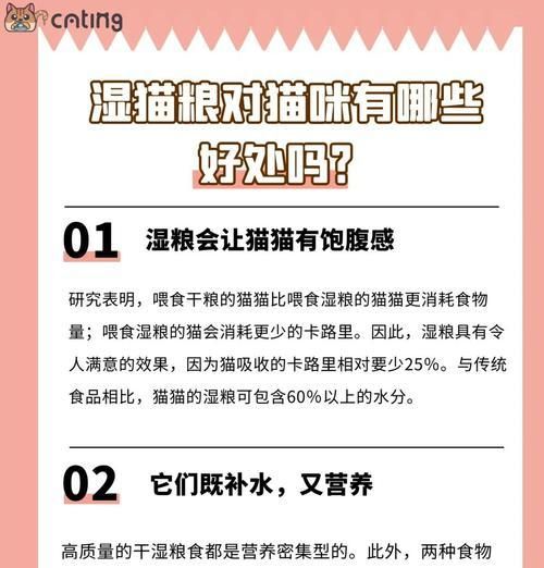 猫咪突然不吃湿粮怎么办？可能的原因是什么？