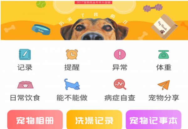 宠物伴你