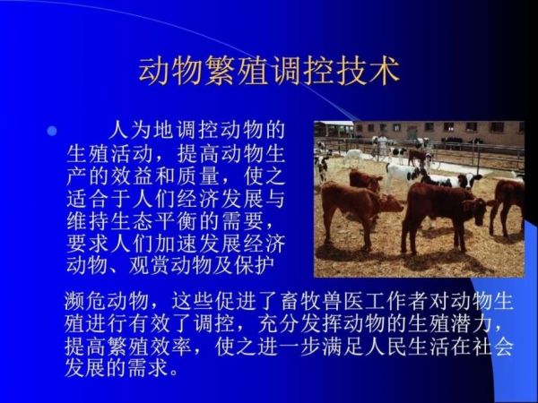 动物繁殖控技术_第1页