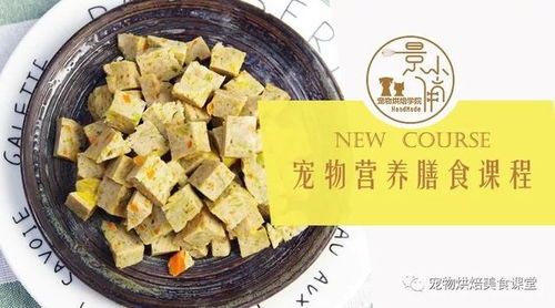 “小鲜粮,宠物美食盛宴,超越人类味蕾!”