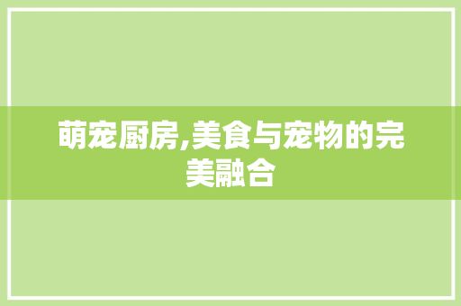 萌宠厨房,美食与宠物的完美融合