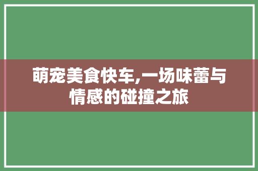 萌宠美食快车,一场味蕾与情感的碰撞之旅