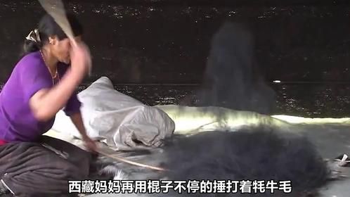西藏用200头牦牛毛制作的帐篷