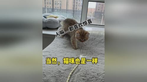 此乃妙计，大家还是慎用为好！