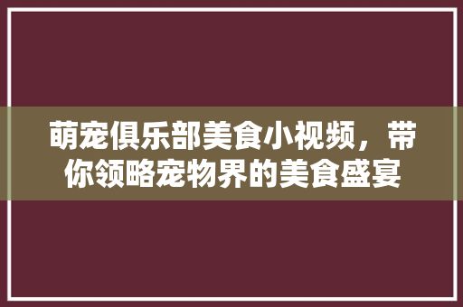 萌宠俱乐部美食小视频，带你领略宠物界的美食盛宴