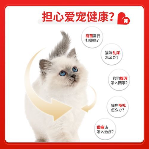 在线宠物医生？免费医生在线问诊