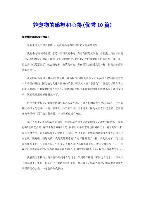 养宠物的感想和心得(优秀10篇)