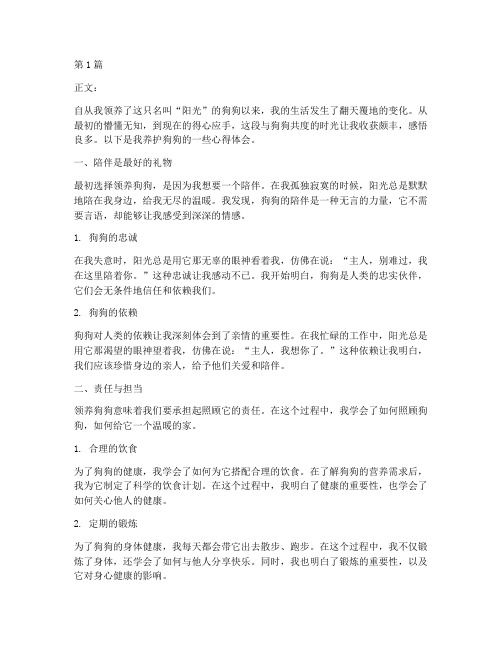 养护狗狗的感悟心得体会(3篇)